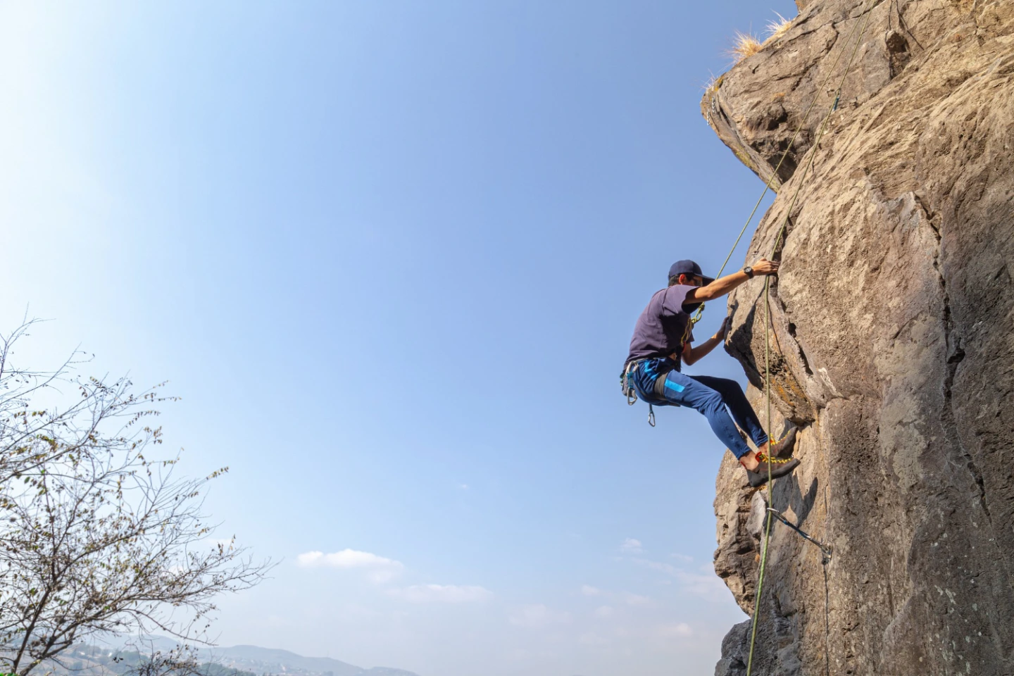 Petzl ascender