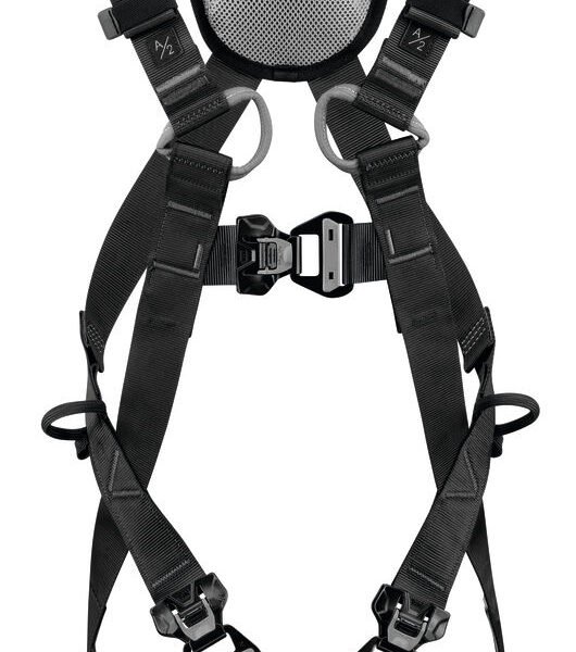 PETZL NEWTON FAST International Version